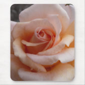 Tapis De Souris Rose de rose (Devant)