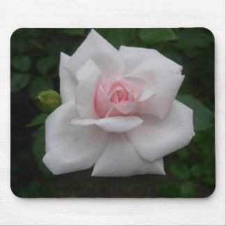 Tapis De Souris Rose de rose