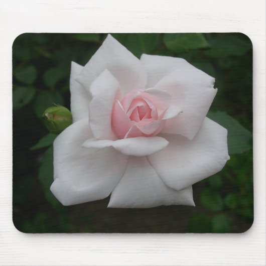 Tapis De Souris Rose de rose (Devant)