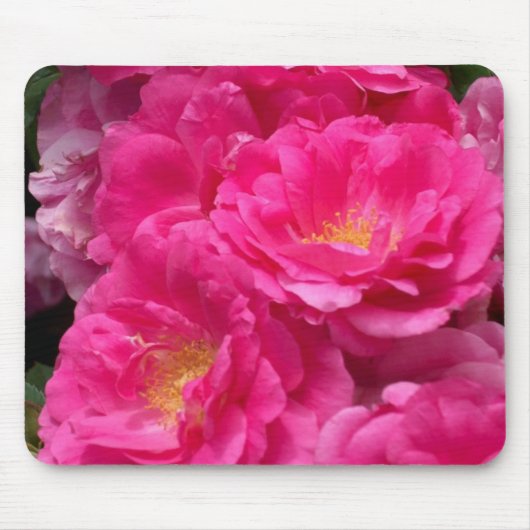 Tapis de souris rose de roses (Devant)