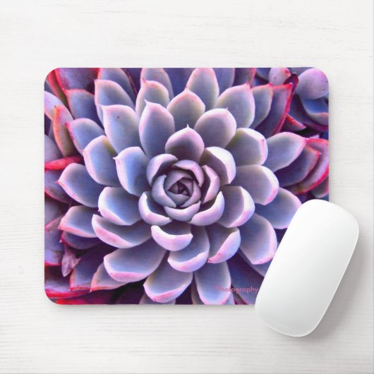 Tapis De Souris Rose et Mousepad succulent pourpre (Avec souris)