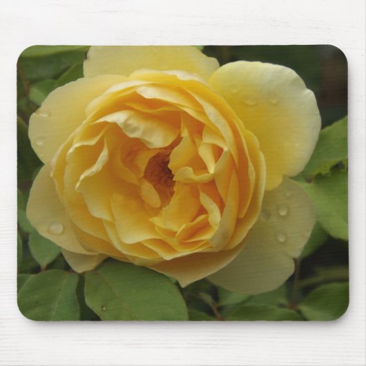 Tapis De Souris Rose jaune (Devant)