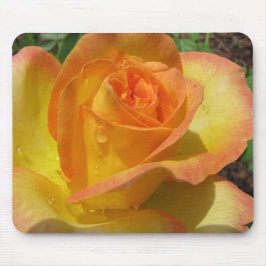 Tapis De Souris Rose jaune (Devant)