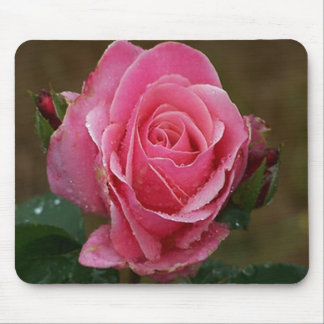 Tapis De Souris Rose Mousepad de rose