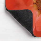Tapis De Souris Rose orange (Coin)