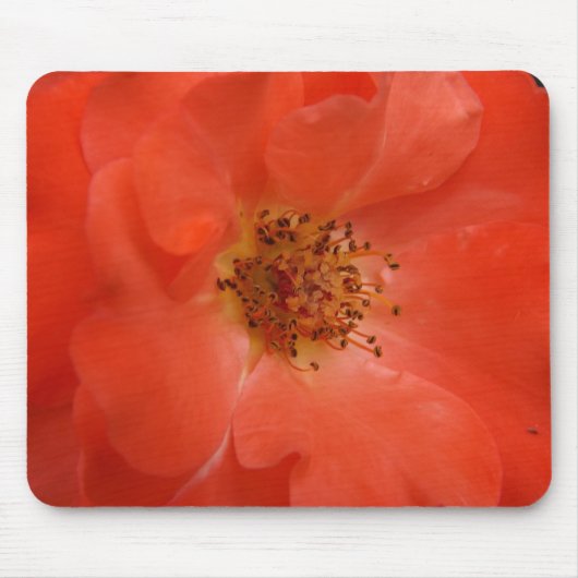 Tapis De Souris Rose orange (Devant)