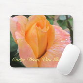 Tapis de souris -- Rose orange avec gouttes de plu (Avec souris)