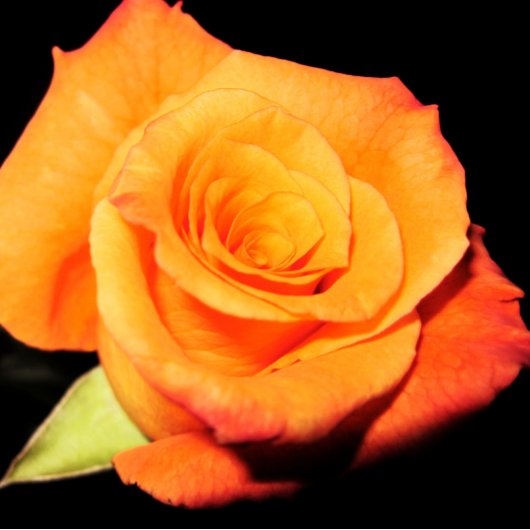 Tapis De Souris Rose orange clair