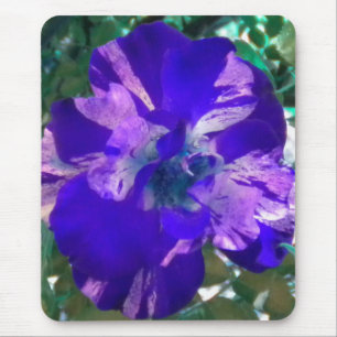 Tapis de souris Rose panachée violette
