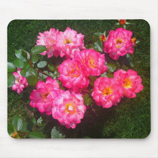 Tapis De Souris Rose rose chaud Mousepad (Devant)