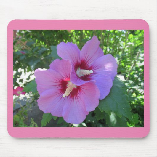 Tapis De Souris Rose rose de Sharon Photo (Devant)