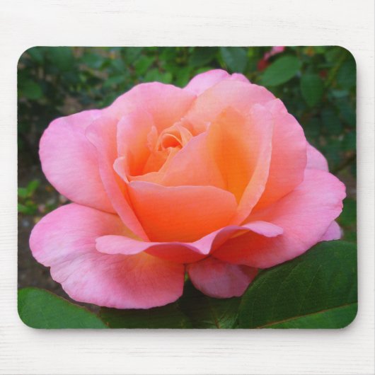 Tapis De Souris Rose rose rose (Devant)