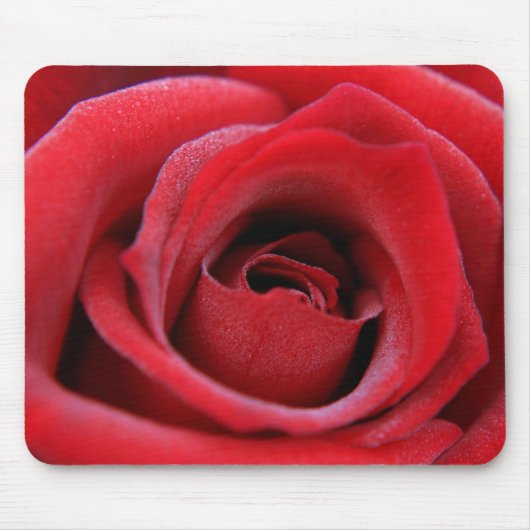 Tapis De Souris Rose rouge (Devant)