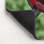 Tapis de souris Rose Rouge (Coin)