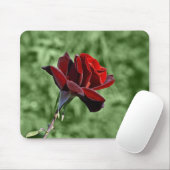 Tapis de souris Rose Rouge (Avec souris)