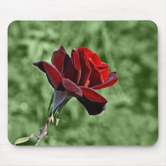 Tapis de souris Rose Rouge (Devant)