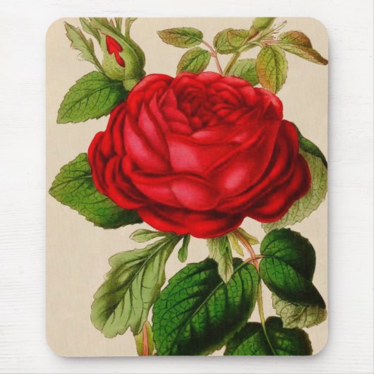Tapis De Souris Rose rouge (Devant)