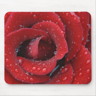 Tapis De Souris Rose rouge couverte de rosée décorant un lieu de s