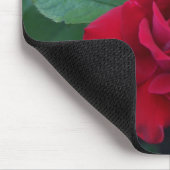 Tapis De Souris Rose rouge de près (Coin)
