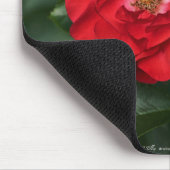 Tapis De Souris Rose rouge P6568 (Coin)