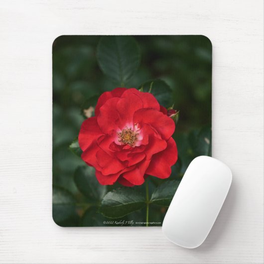 Tapis De Souris Rose rouge P6568 (Avec souris)