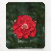 Tapis De Souris Rose rouge P6568 (Devant)