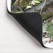 Tapis De Souris Rose Slipper orchid (Coin)