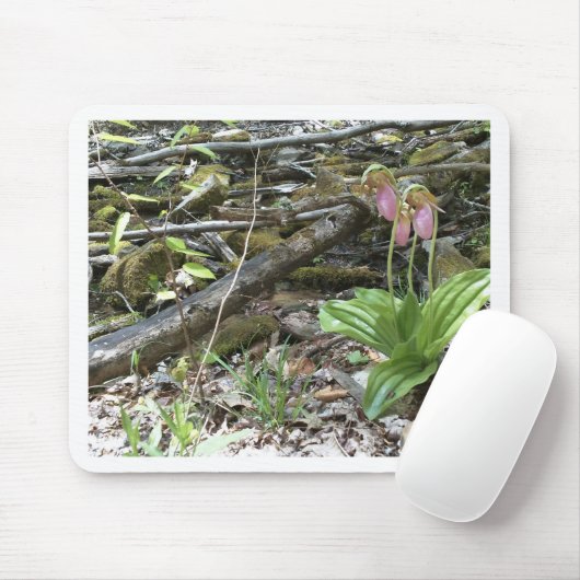 Tapis De Souris Rose Slipper orchid (Avec souris)