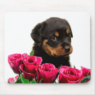 Tapis De Souris Rose Valentin Rottweiler Puppy