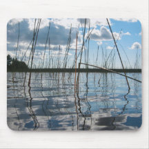 Roseaux et reflets sur le lac Rice