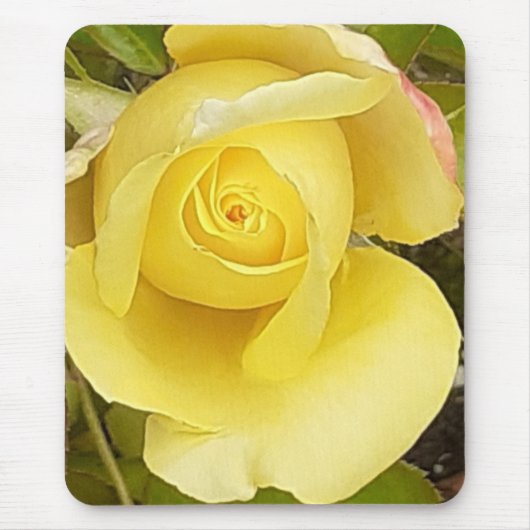 Tapis De Souris Rosebud jaune (Devant)