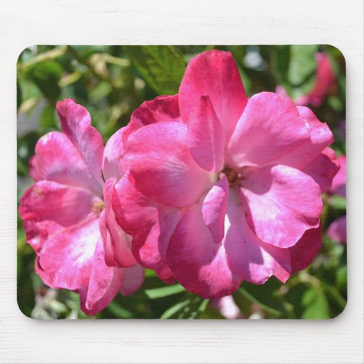 Tapis De Souris Roses d'été (Devant)