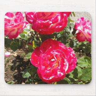 Tapis De Souris Roses du jardin rouge