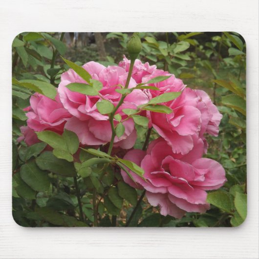 Tapis De Souris Roses roses (Devant)
