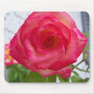 Tapis De Souris Roses roses roses