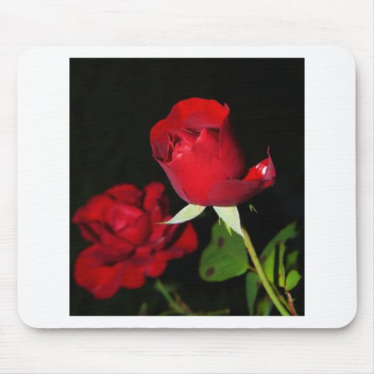 Tapis De Souris Roses rouges (Devant)