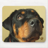 Tapis De Souris Rottweiler (Devant)