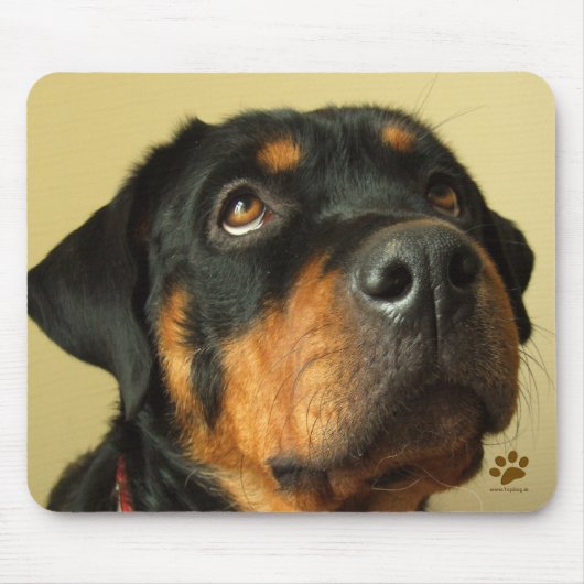 Tapis De Souris Rottweiler (Devant)