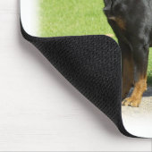 Tapis De Souris Rottweiler (Coin)