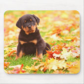 Tapis De Souris Rottweiler Chiot Assis Dans Les Feuilles D'Automne (Devant)