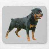 Tapis De Souris Rottweiler Mousepad (Devant)
