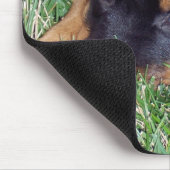 Tapis De Souris rottweiler pup. (Coin)