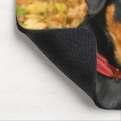 Tapis De Souris Rottweiler Pup Allongé Sur Le Terrain Dans La Forê (Coin)