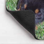 Tapis De Souris rottweiler pus. (Coin)