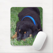 Tapis De Souris rottweiler pus. (Avec souris)