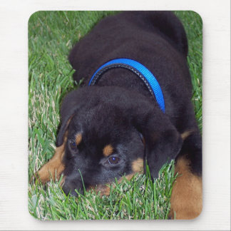 Tapis De Souris rottweiler pus.
