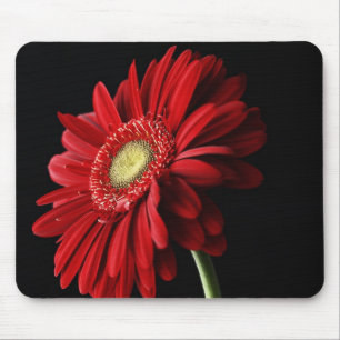 Tapis de souris rouge de marguerite de Gerber