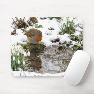 Tapis De Souris Rouge-gorge contemplant son reflet dans une flaque