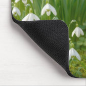 Tapis De Souris Rouge-gorge dans un jardin printanier (Coin)