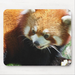 Tapis de souris rouge mignon d'ours panda